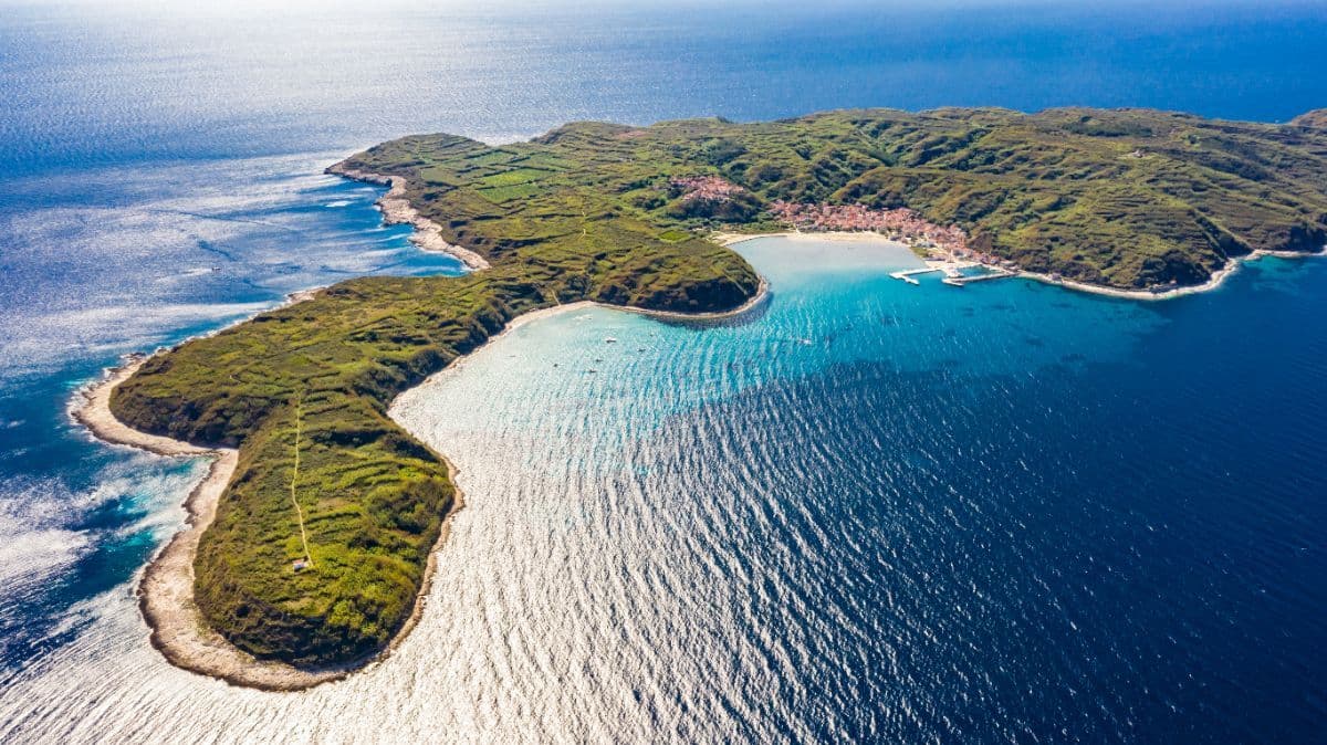 Susak 1